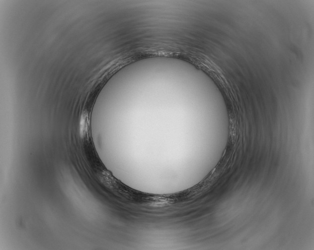 X0000114720095200910211101