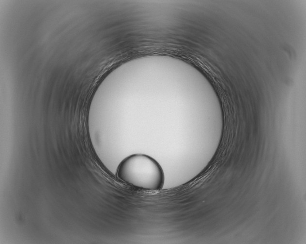 X0000114720096200910211101