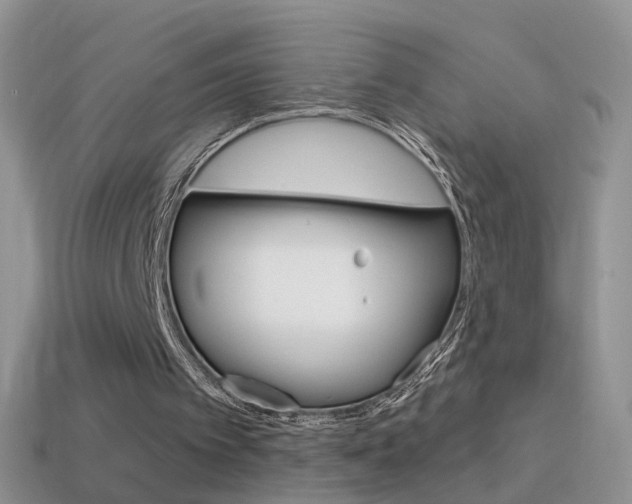 X0000114720097200910211100