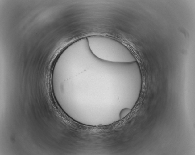 X0000114720098200910211100