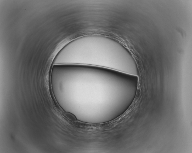 X0000114720099200910211100