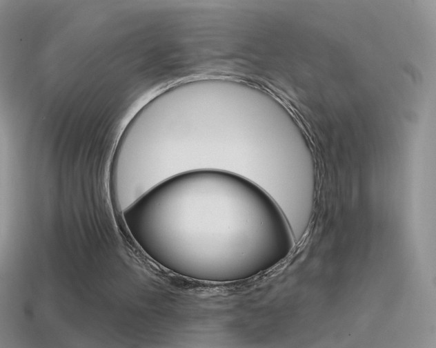 X0000114720100200910211100