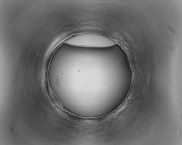 X0000114720101200910211100