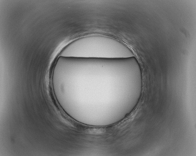 X0000114720102200910211100