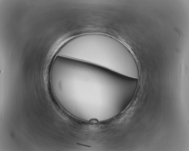 X0000114720103200910211100