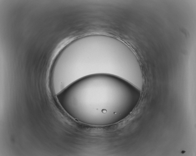 X0000114720104200910211100