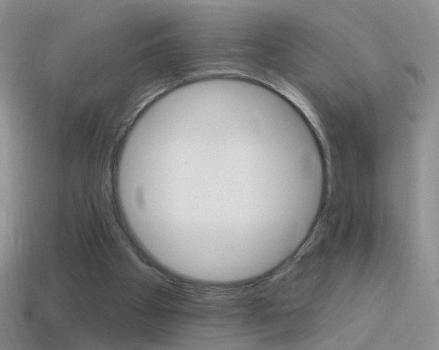 X0000114720105200910211100