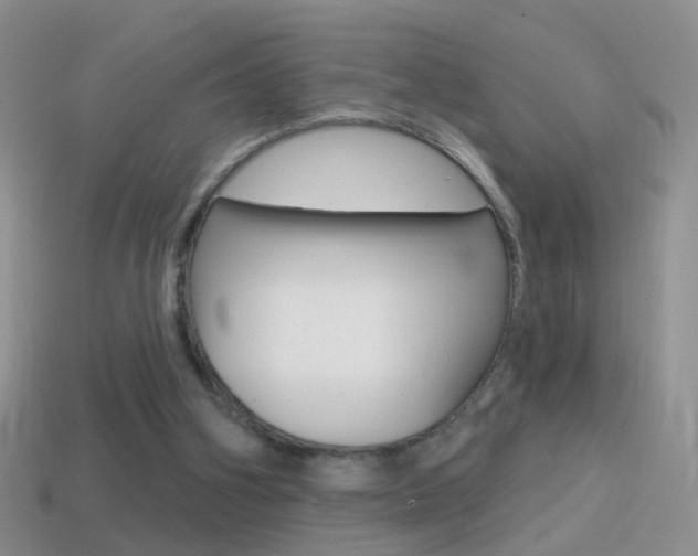 X0000114720106200910211100