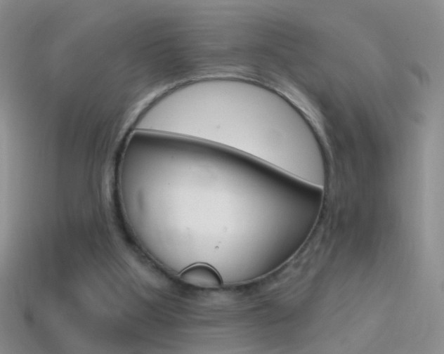 X0000114720107200910211100