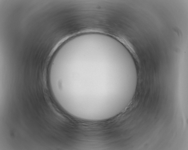 X0000114720108200910211100