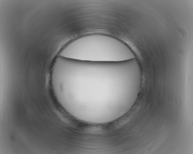 X0000114720110200910211100