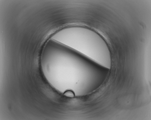 X0000114720111200910211100