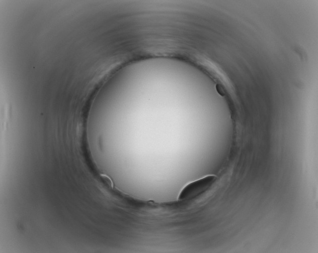 X0000114720113200910211100