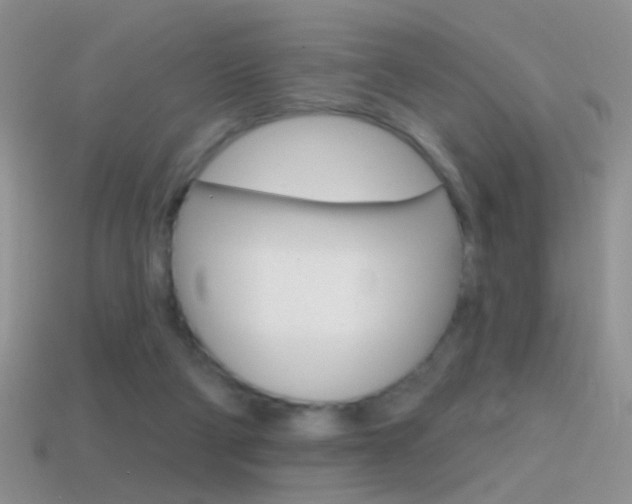 X0000114720114200910211100