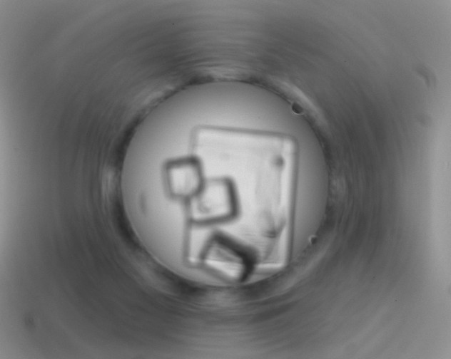 X0000114720117200910211100