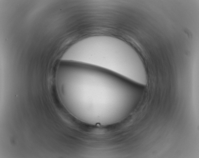 X0000114720119200910211100