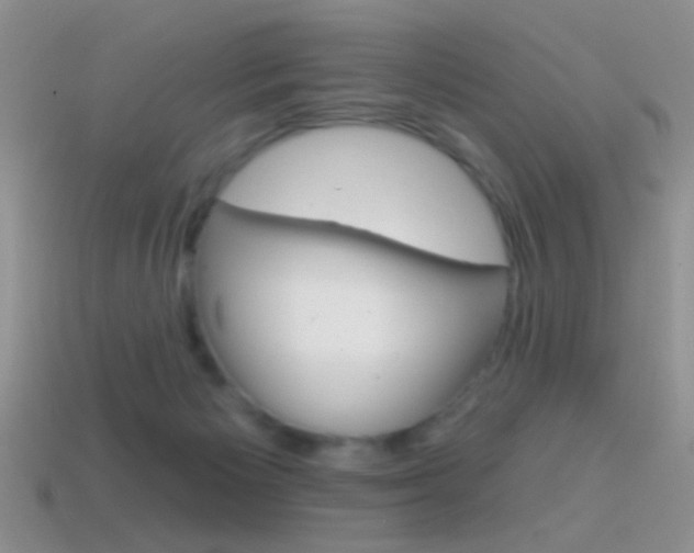 X0000114720125200910211100