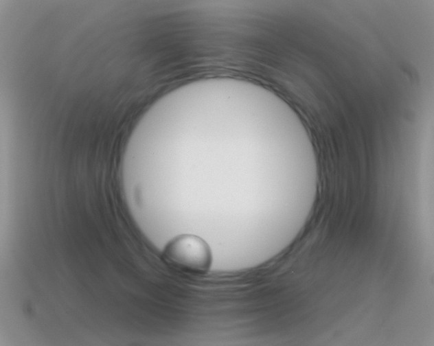 X0000114720129200910211100