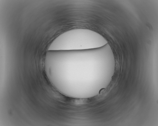 X0000114720134200910211100