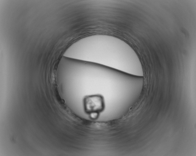 X0000114720137200910211100