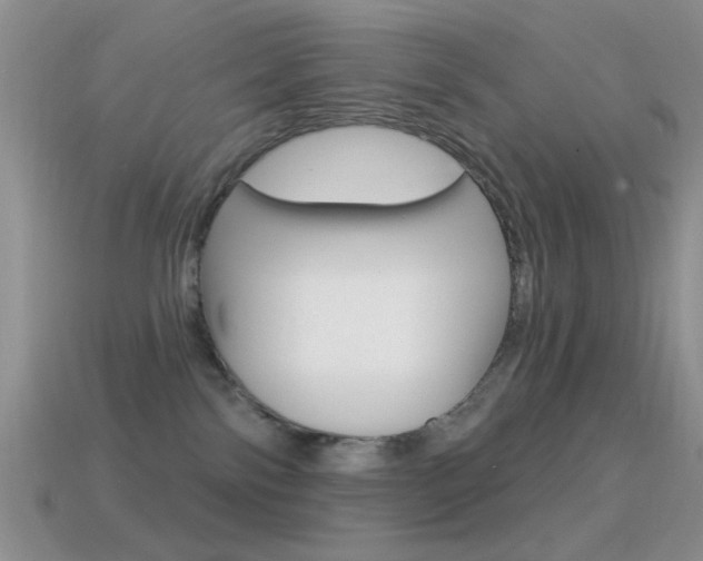 X0000114720138200910211100