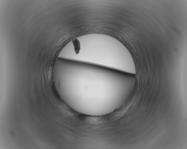 X0000114720139200910211100