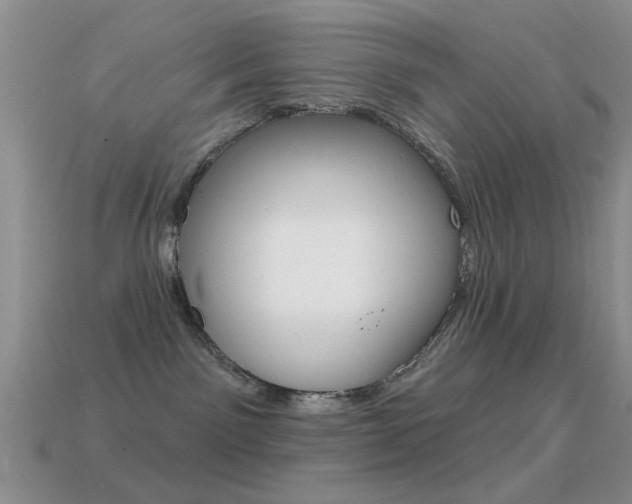 X0000114720141200910211100