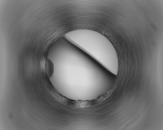 X0000114720143200910211100