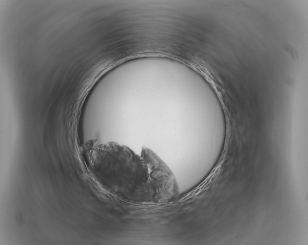 X0000114720145200910211059