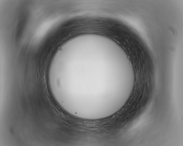 X0000114720146200910211059