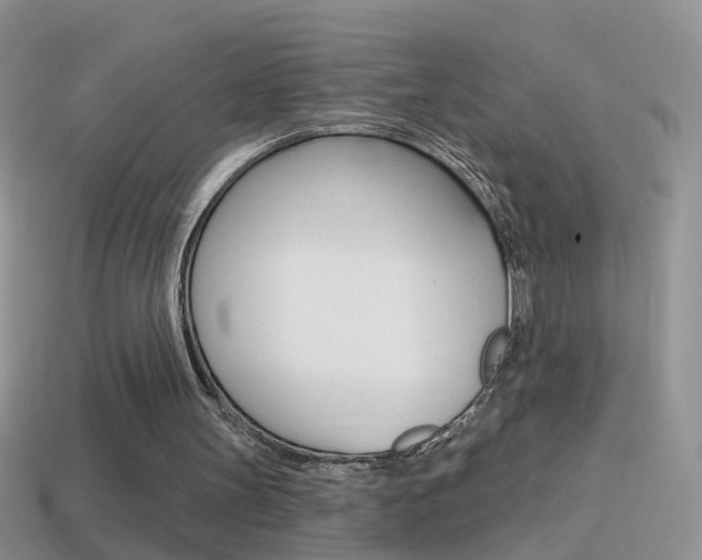 X0000114720147200910211059