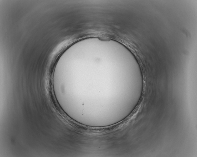 X0000114720149200910211059