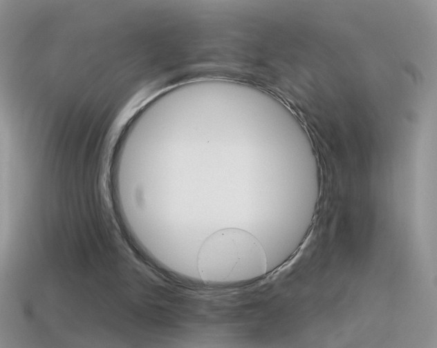 X0000114720150200910211059