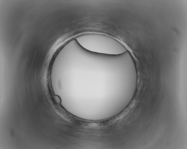 X0000114720151200910211059