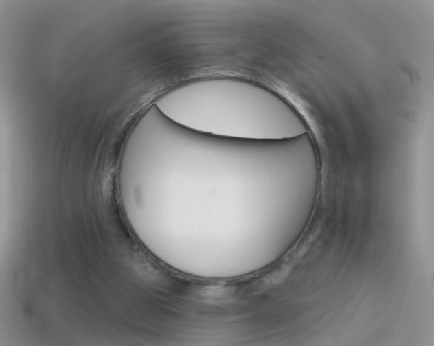 X0000114720153200910211059