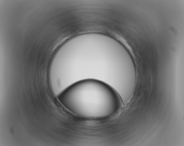 X0000114720154200910211059