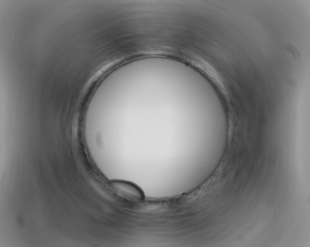 X0000114720155200910211059