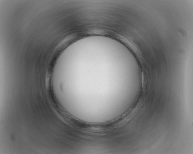 X0000114720157200910211059