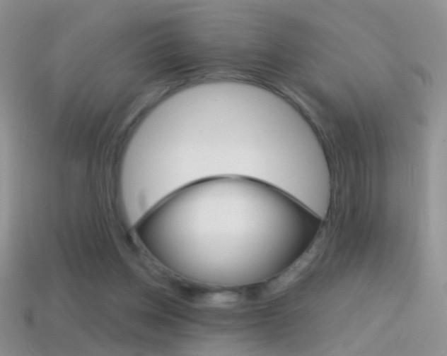 X0000114720158200910211059