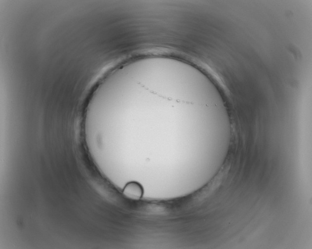 X0000114720159200910211059