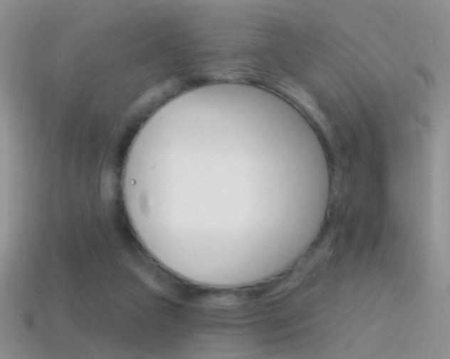 X0000114720161200910211059