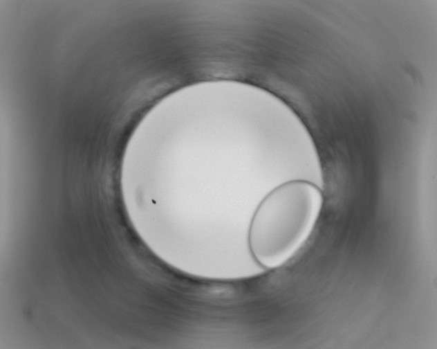 X0000114720162200910211059