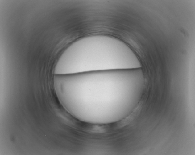 X0000114720166200910211059