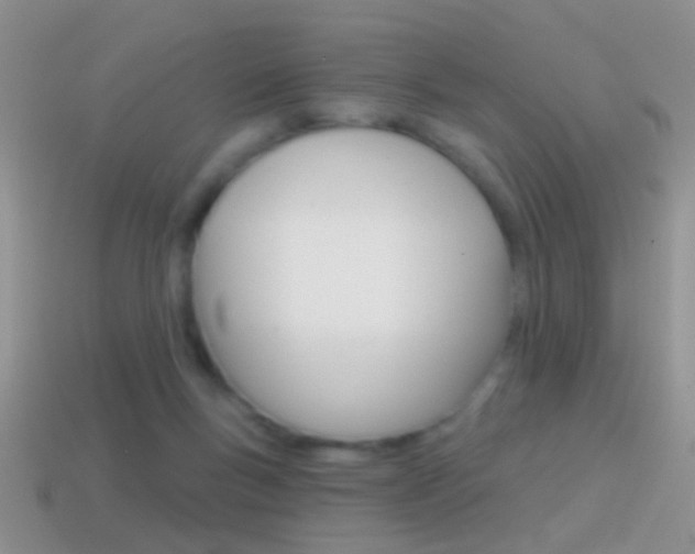 X0000114720167200910211059