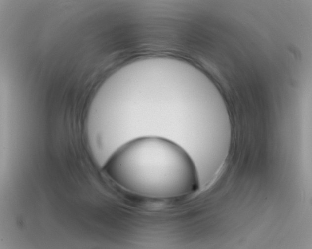 X0000114720170200910211059