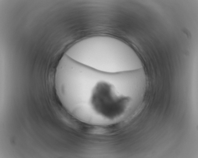 X0000114720171200910211059