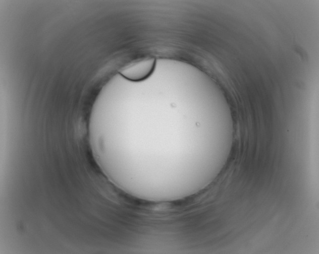 X0000114720173200910211059