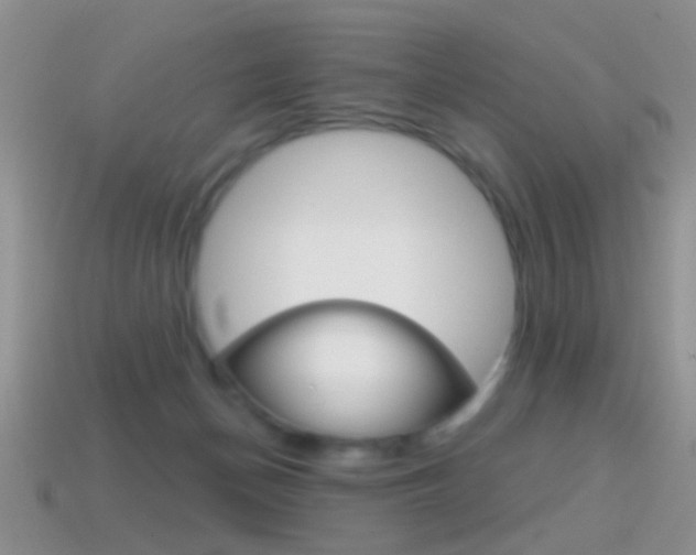 X0000114720174200910211059