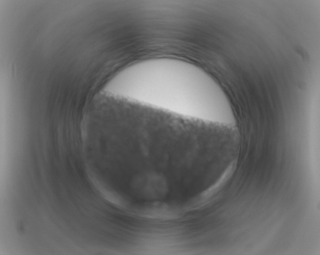 X0000114720175200910211059