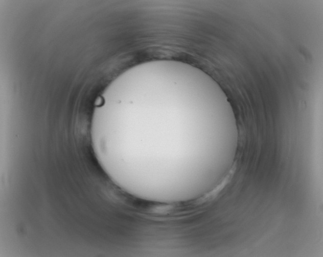 X0000114720178200910211059